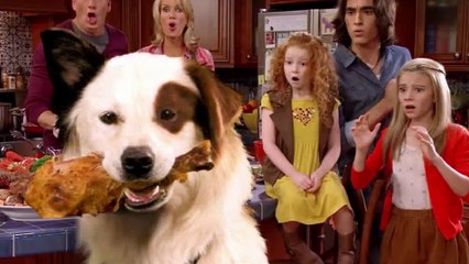 Dog with a blog 20 Averys Wild Party