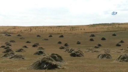 Minik Leyla'nın Elbiseleri Tarlada Bulundu
