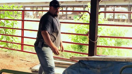 Tresors oubliés : la plantation de coton FR (HD)