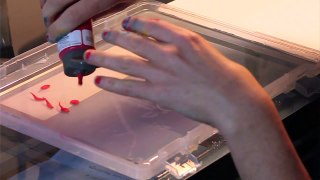 Marbling Acrylic Paint Art Painting Tutorials