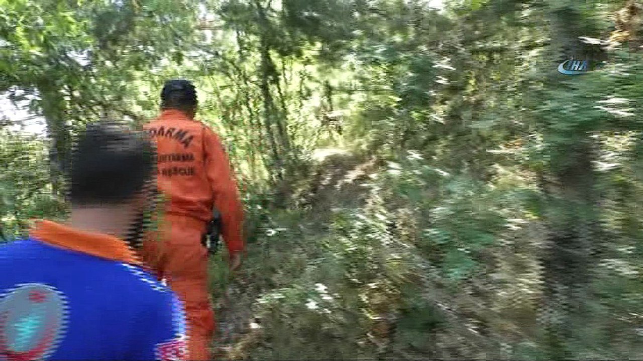 Minik Evrim'i arama çalışmalarına kadavra köpeği katıldı