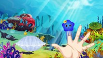 Jelly fish Shapes finger family song for kids and children| Jelly shapes finger song