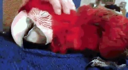 30 SANIYELIK WHATSAPP DURUMU _ BEN BOYLE BIRSEY GORMEDIM _