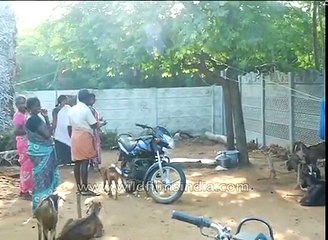 Monkey attaches himself to a goat- hugs the hell out of it