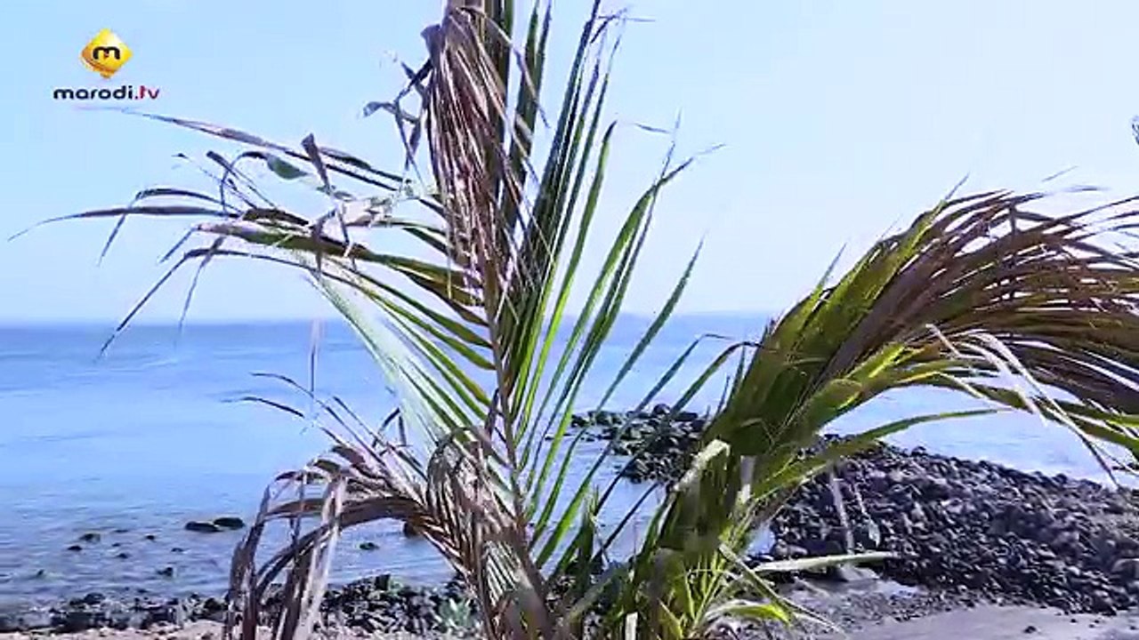 Pod et Marichou - Saison 2 - Episode 7 - VOSTFR