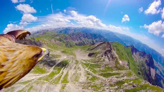 Through an Eagles Eyes: Breathtaking 4K POV over the Alps