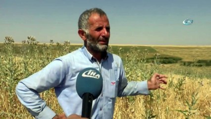 Minik Leyla’nın Elbiseleri Bulundu