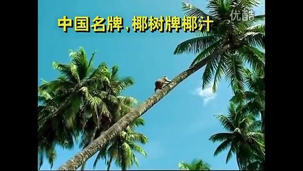 Çin'deki aşırı seksi enerji içeceği reklamı