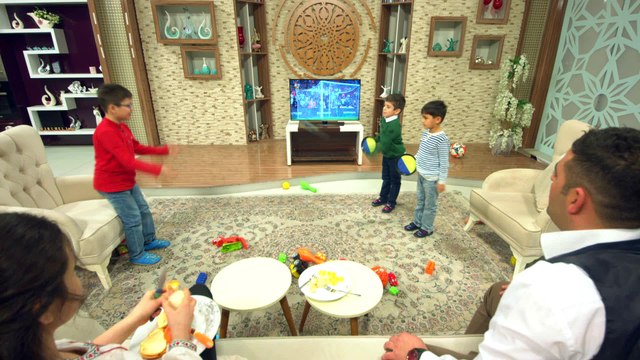 Mobays Tv Ekran Koruyucu - Tv Panel Koruma - Tv Koruma Camı