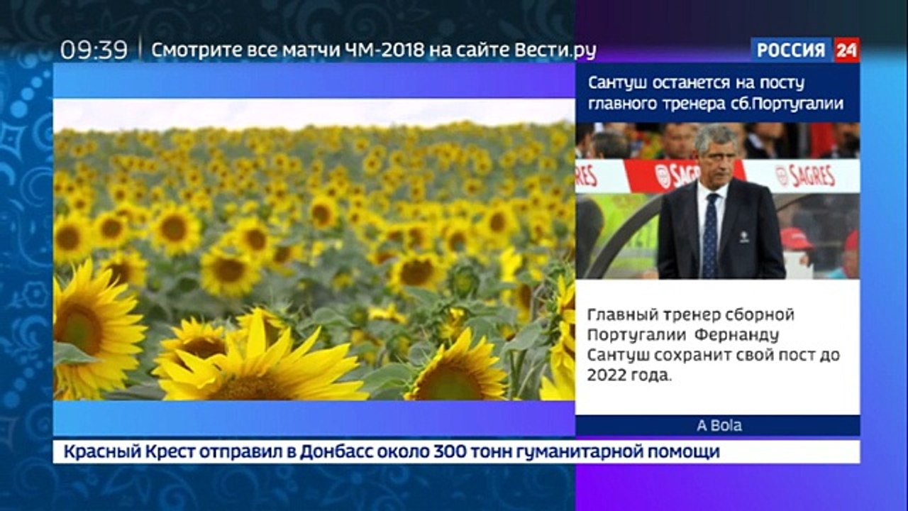 75 лет назад в Белгородской области состоялось танковое сражение под Прохоровкой