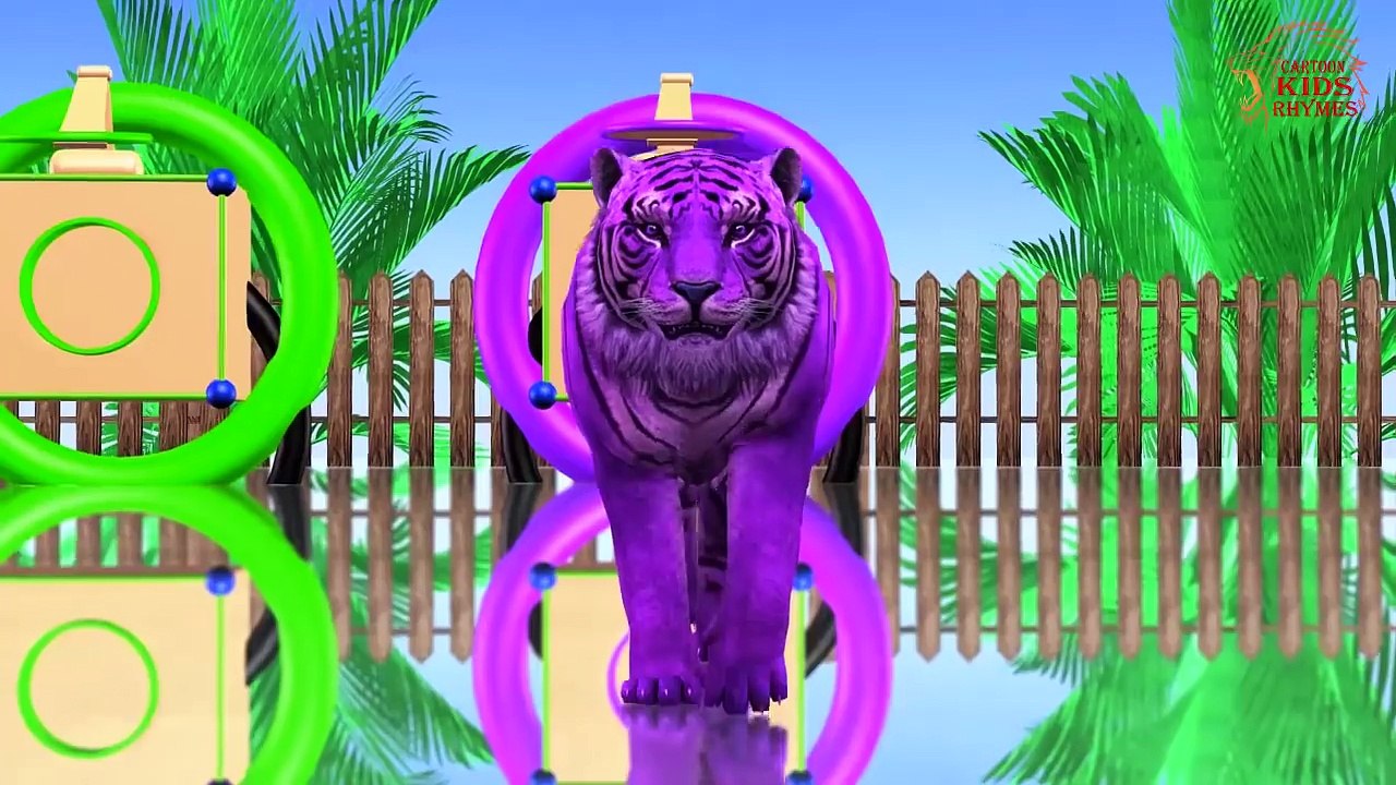 Colours Animals Wrong Kids Matching Game For Kids || Finger Family Rhymes For Compilation