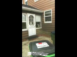 Korkunçlu Kadın Kıvamında Ev Koruyan Köpek