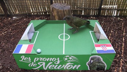 Le prono de Newton : France ou Croatie, qui sera champion du monde ?