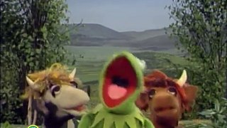 Sesame Street: Do-op Hop With Kermit
