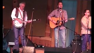 Bird Lands on Guitar at a Bluegrass Concert