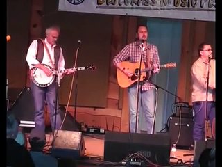 Bird Lands on Guitar at a Bluegrass Concert
