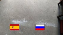 Dự đoán vui World cup 2018 Tây Ban Nha vs Nga [Chú chó thông minh]