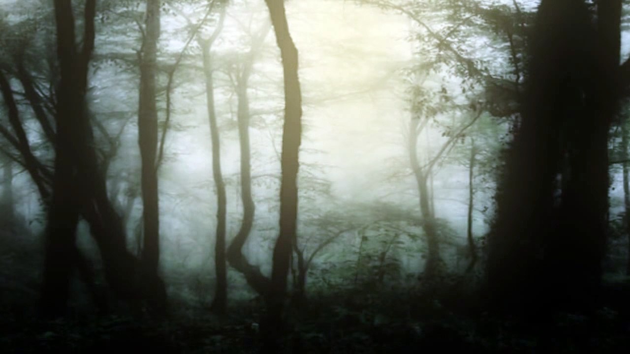 Γιάννη Γλέζου -ΟΤΑΝ ΓΕΡΝΩ ΤΑ ΒΡΑΔΙΑ - Pablo Neruda