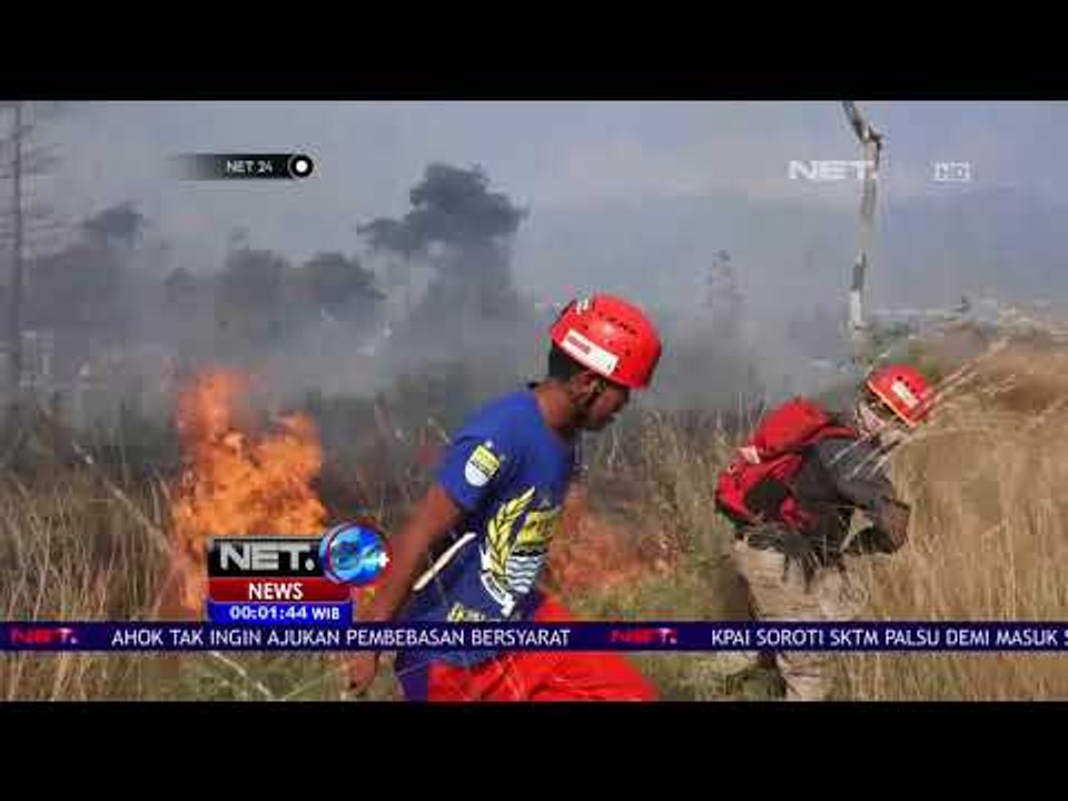 Kebakaran Gunung Guntur-NET24