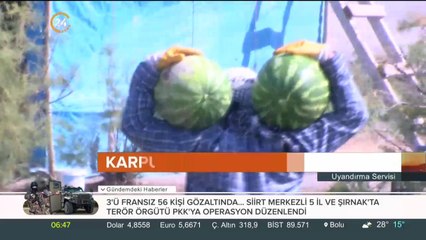 Lezzeti ve iriliğiyle ünlü Diyarbakır karpuzu hasadına başlandı