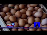Kenaikan Harga Telur Hingga Rp 35 000-NET12