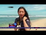 Fenomena Ubur ubur Di Pantai Sepanjang-NET24