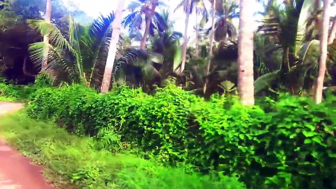 Ghost Accidentally Caught On Camera From a Haunted Forest