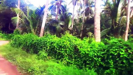 Ghost Accidentally Caught On Camera From a Haunted Forest