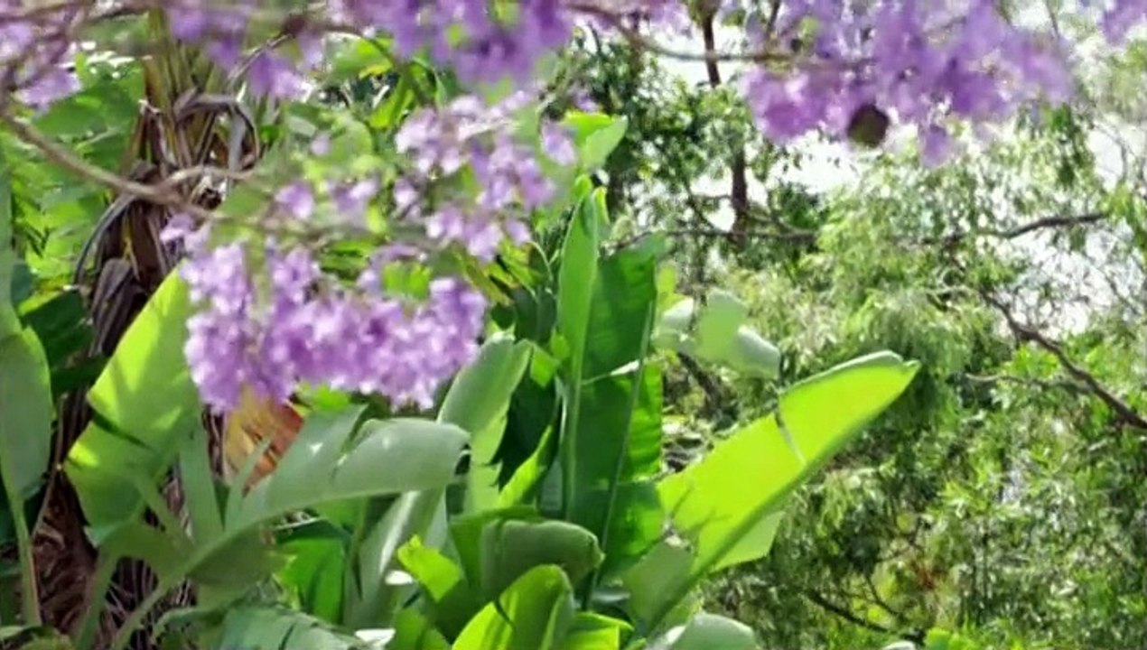 crimes that shook australia S02E08 Gerard Baden-Clay