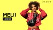Melii "Icey" Official Lyrics & Meaning | Verified