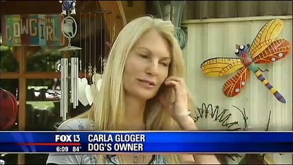 Body camera records Florida deputy shooting resident's dog