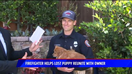 Firefighter Out for a Jog Helps Reunite Lost Dog with Owner