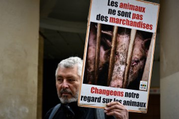 Habitudes de consommation et maltraitance animale
