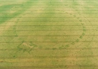Drought in Ireland Leads to Discovery of Neolithic Henge