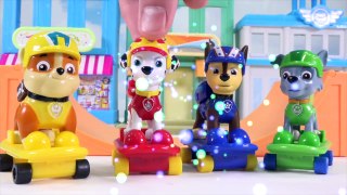 PAW PATROL MARSHALL FRIENDS GET TOGETHER!