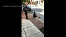 ویدئوی جنجالی استفاده پلیس آمریکا از شوکر