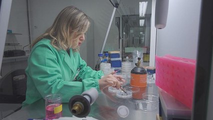 زنان پژوهشگری که سقف شیشه‌ای دنیای کسب و کار را می‌شکنند