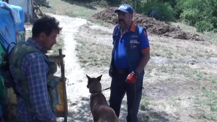 Kaybolan Kız Çocuğunu Arama Çalışmalarına Ara Verildi