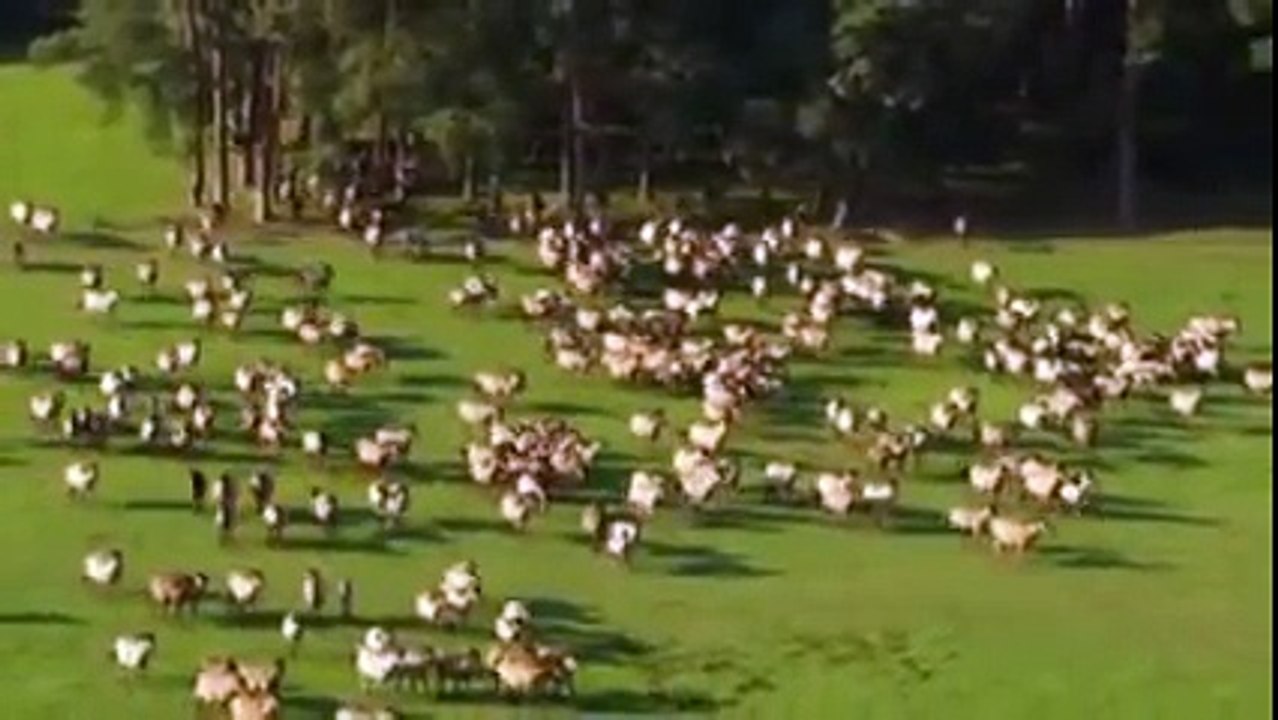 Γιάννης Γλέζος - Ο ΑΝΕΜΟΣ ΣΤΟ ΝΗΣΙ - Γιάννης Πουλόπουλος