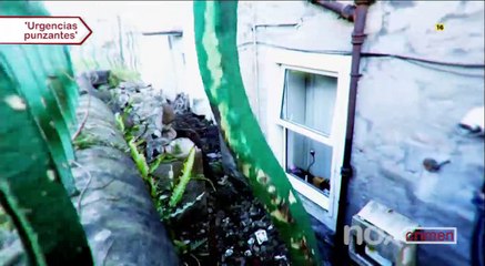 Urgencias punzantes 1x01 "El caso de la valla de jardín"