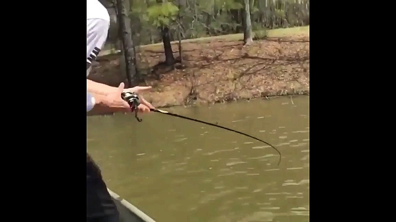 Flying Bass
