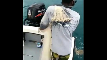 Net Fish - Fall in Water From Boat