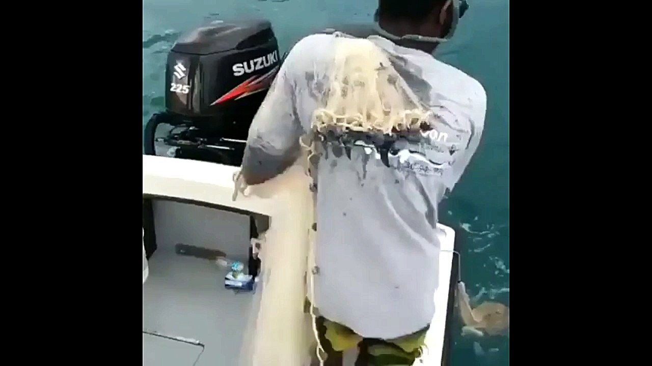Net Fish - Fall in Water From Boat