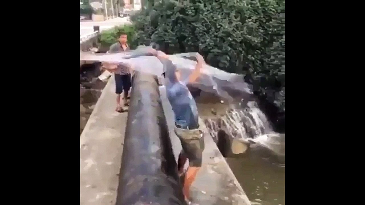 King of Net Fishing