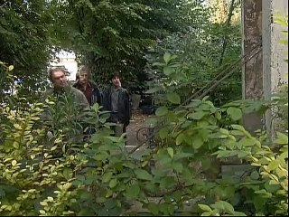 The Bill S17E88 Slash And Burn