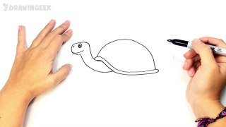 How to draw a Tortoise or Turtle Step by Step