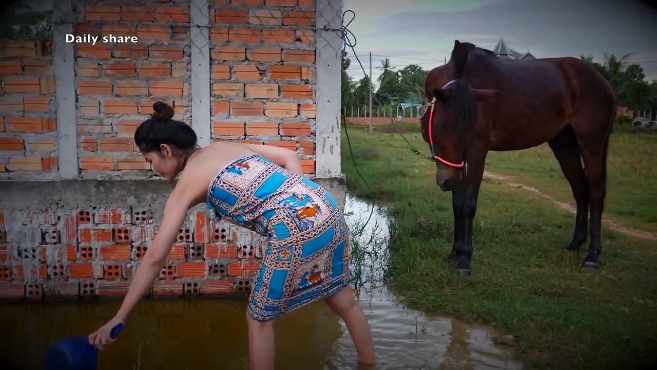 Wow Fantastic How to Wash and Care for Your Hor...