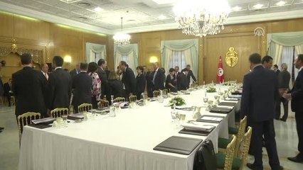 AB Komisyonu Üyesi Hahn, Tunus'ta