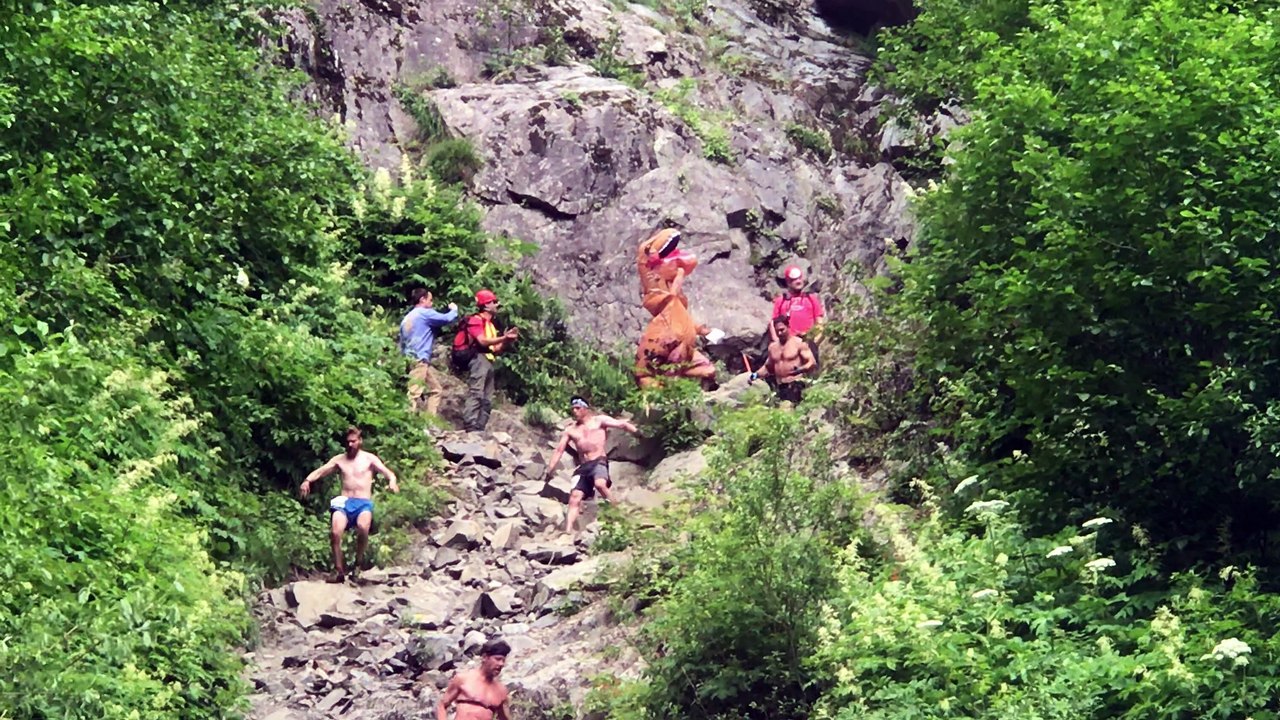 T-Rex Runs Down Mountain