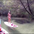 Des dizaines de gros lamantins passent sous ces touristes en paddle board